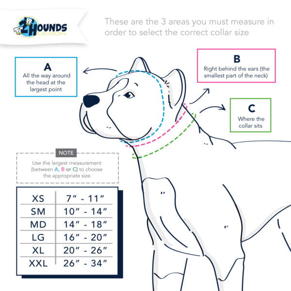 2HD_Measurement-Chart-Martingale