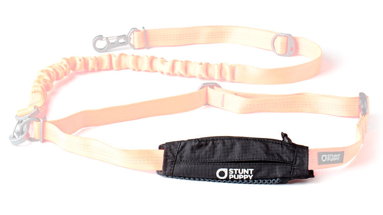 Stunt Puppy Stash Pocket for Leash | MunroKennels.com