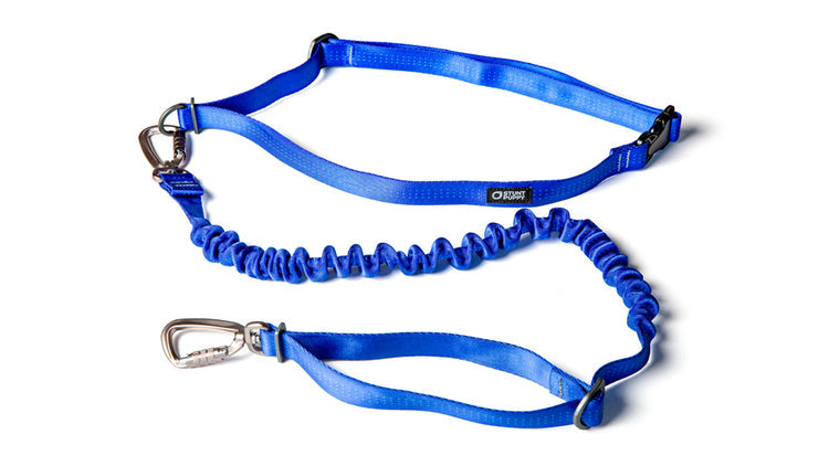 Stunt Puppy Hands Free Leash -BLUE | MunroKennels.com