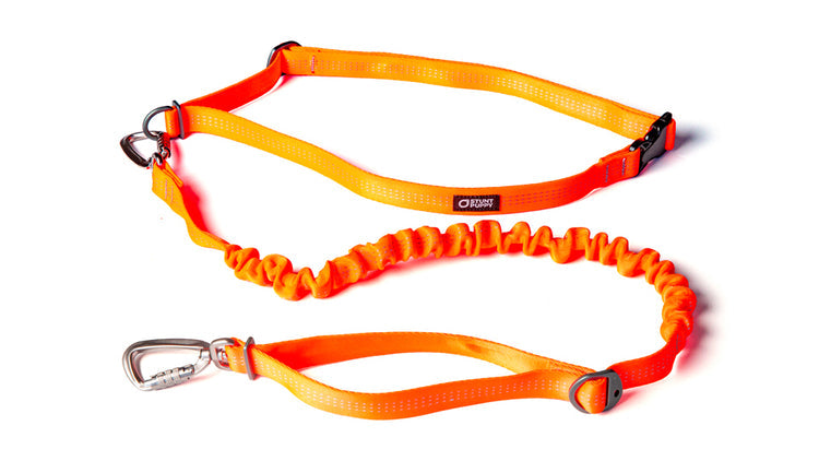 Stunt Puppy Hands Free Leash - ORANGE | MunroKennels.com