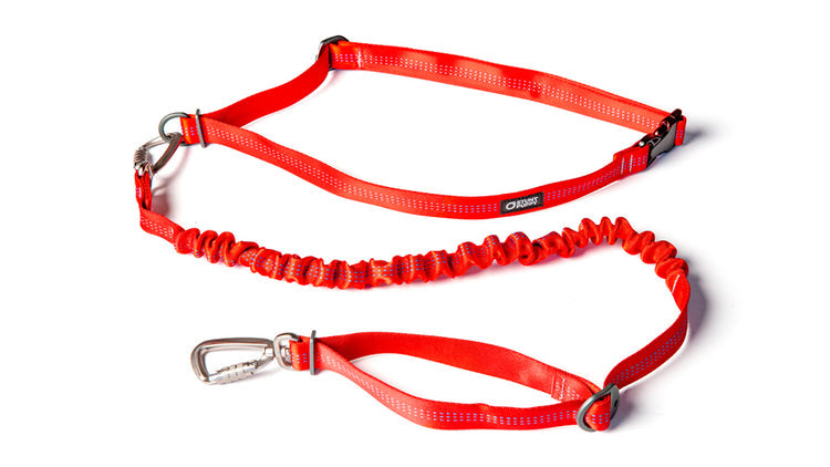 Stunt Puppy Hands Free Leash - RED | MunroKennels.com