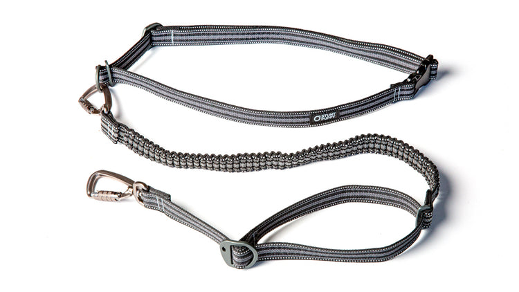 Stunt Puppy Go Dog Glo Leash - Black Reflective | MunroKennels.com