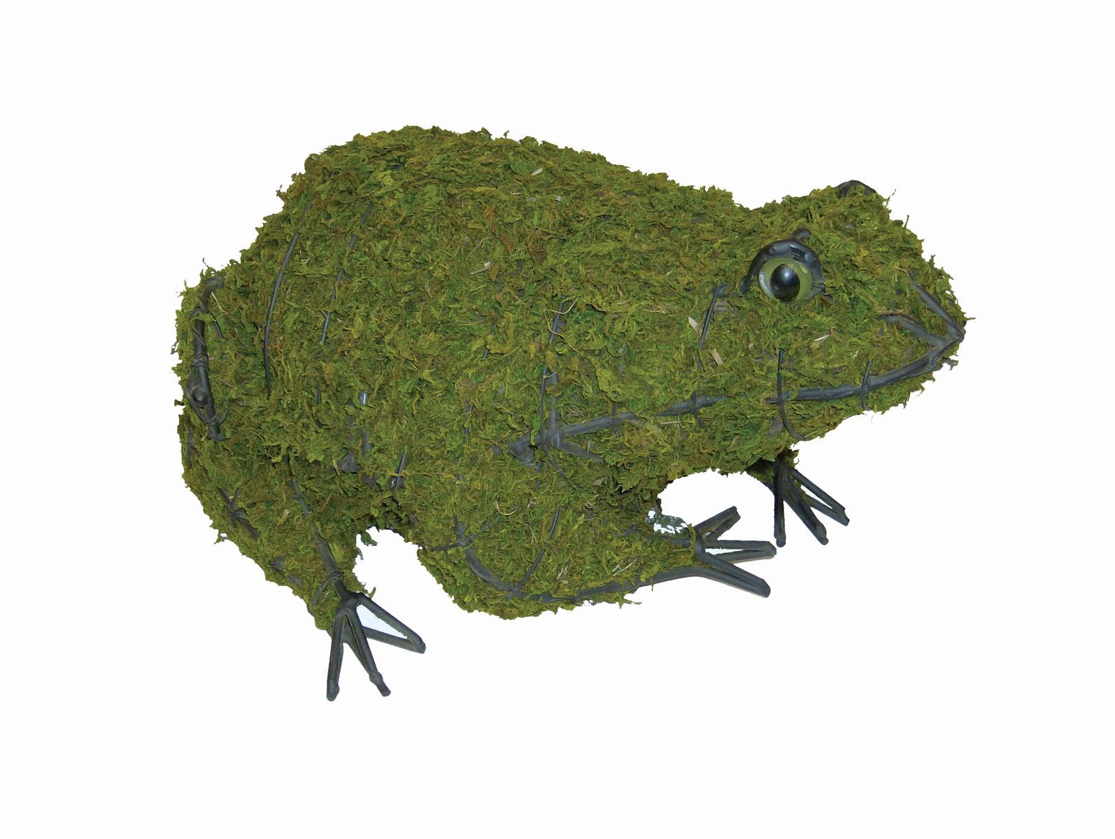 Frog Topiary - 6" (Mossed) 