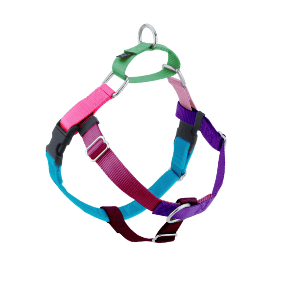 Freedom No-Pull Dog Harness - Jellybean Sugar