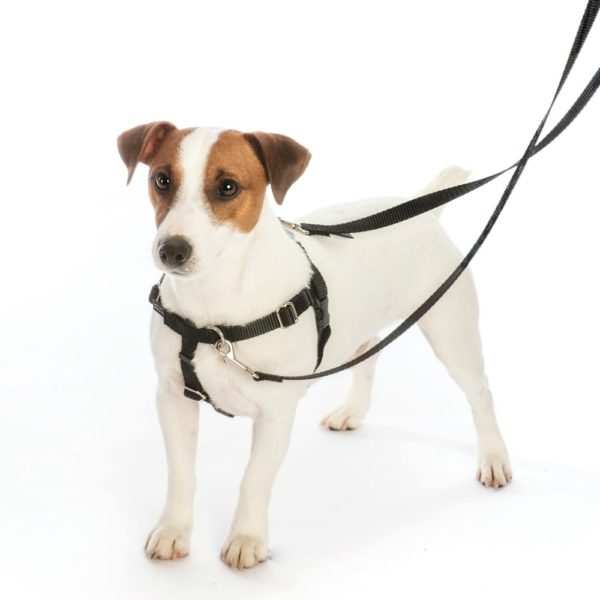 Freedom No-Pull Dog Harness - Black