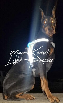 Noxgear LightHound - LED Illuminated Dog Harness | MunroKennels.com, Edmonton & Calgary Alberta,