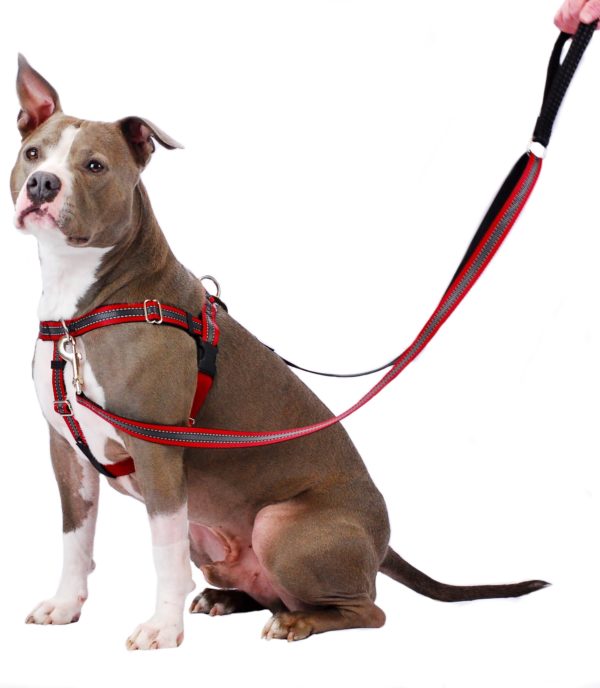 Freedom No-Pull Dog Harness - Reflective Red