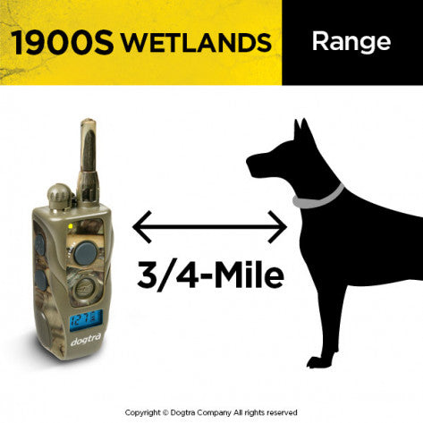 DOGTRA 1900S Training System Wetlands